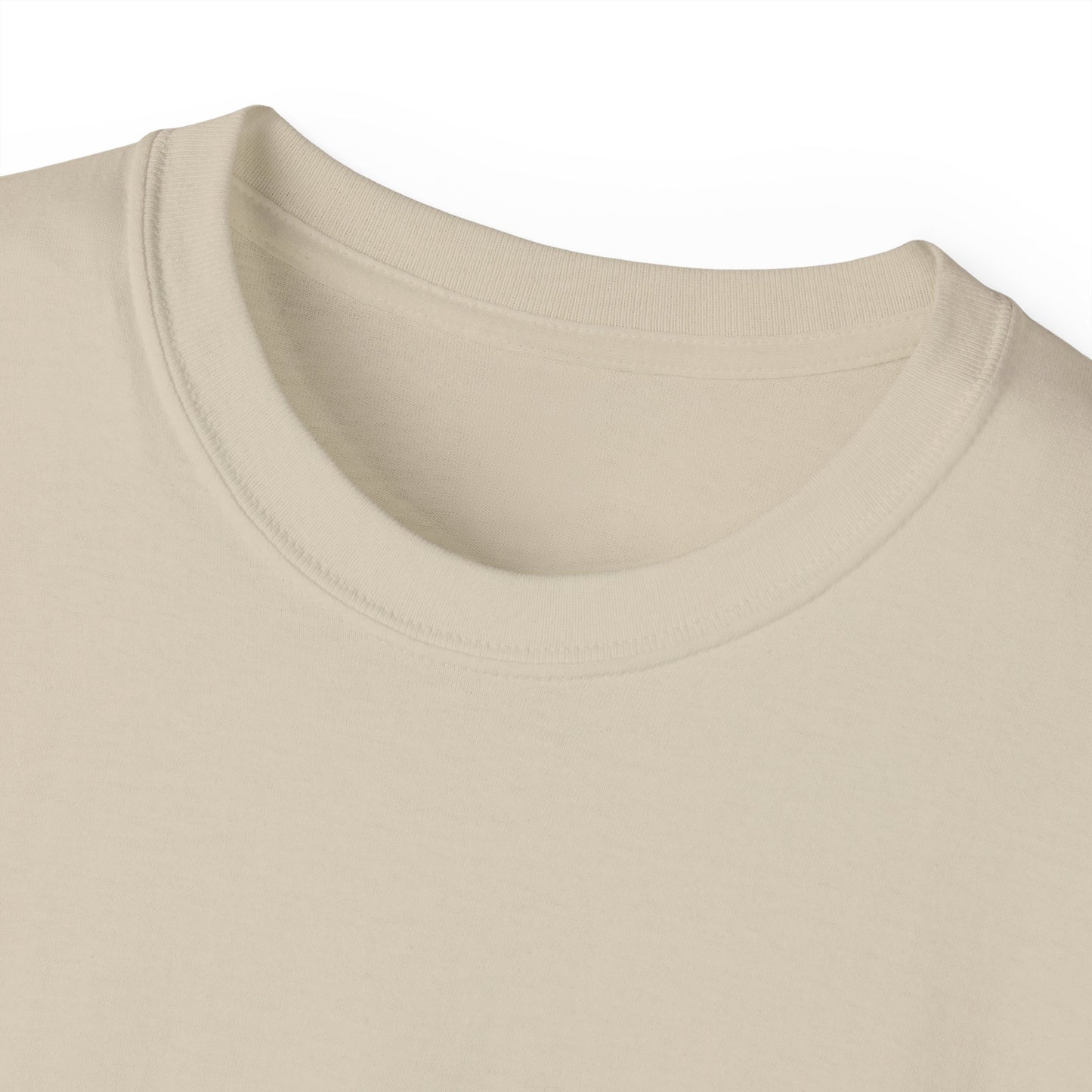 Kaspa Gas Fees Backside Heavyweight Soft Tee