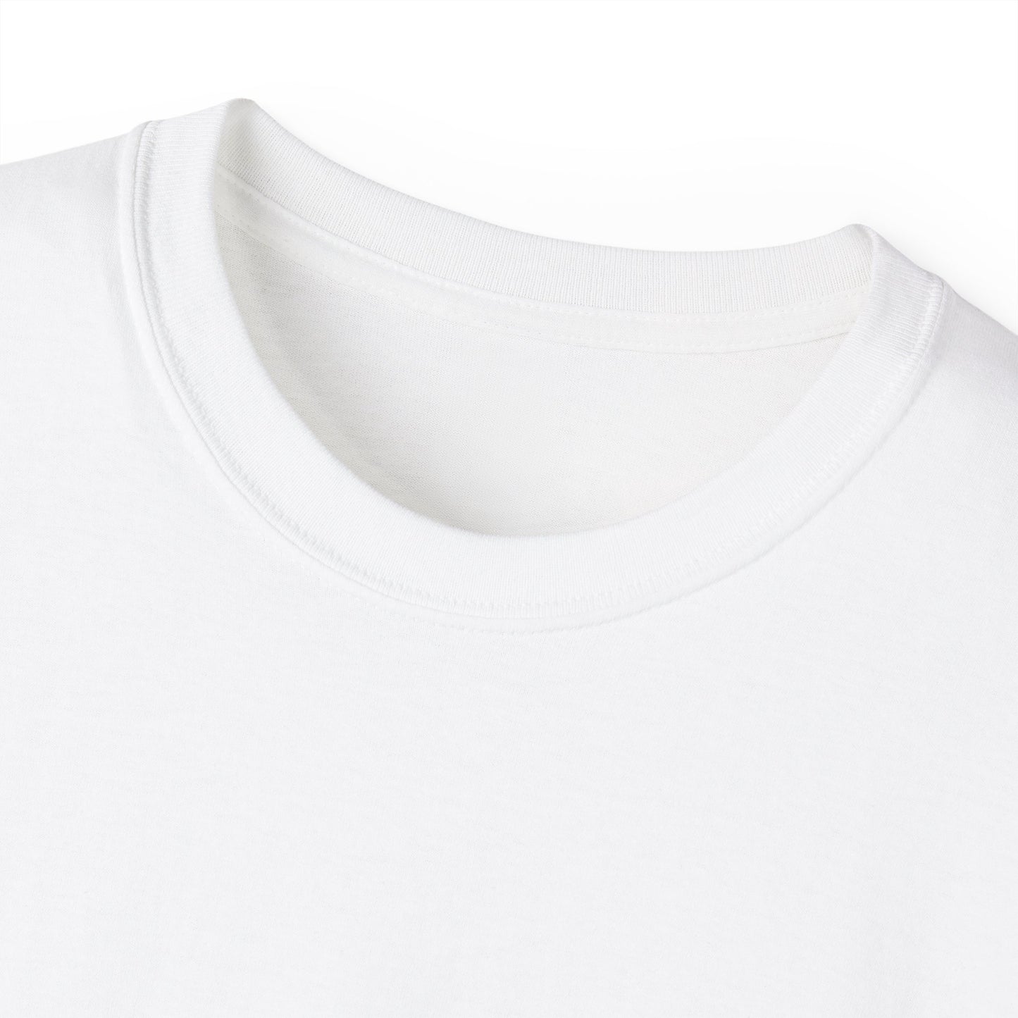 Kaspa Gas Fees Backside Heavyweight Soft Tee