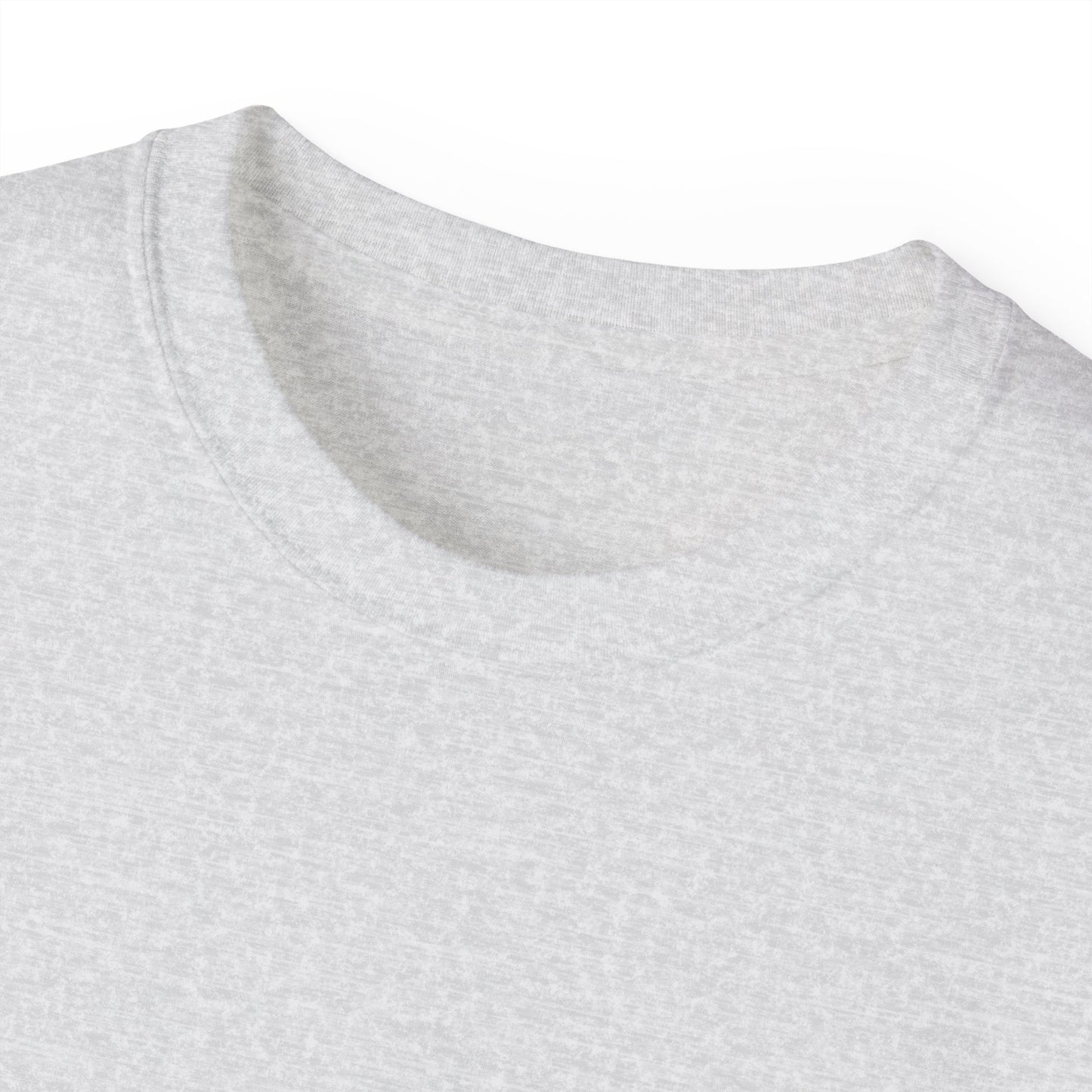 Kaspa Gas Fees Backside Heavyweight Soft Tee